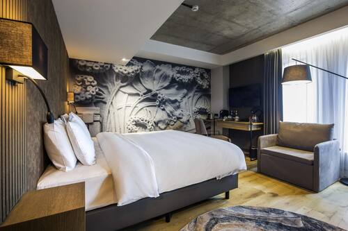 Privilege, Room, 1 King Bed, Non Smoking