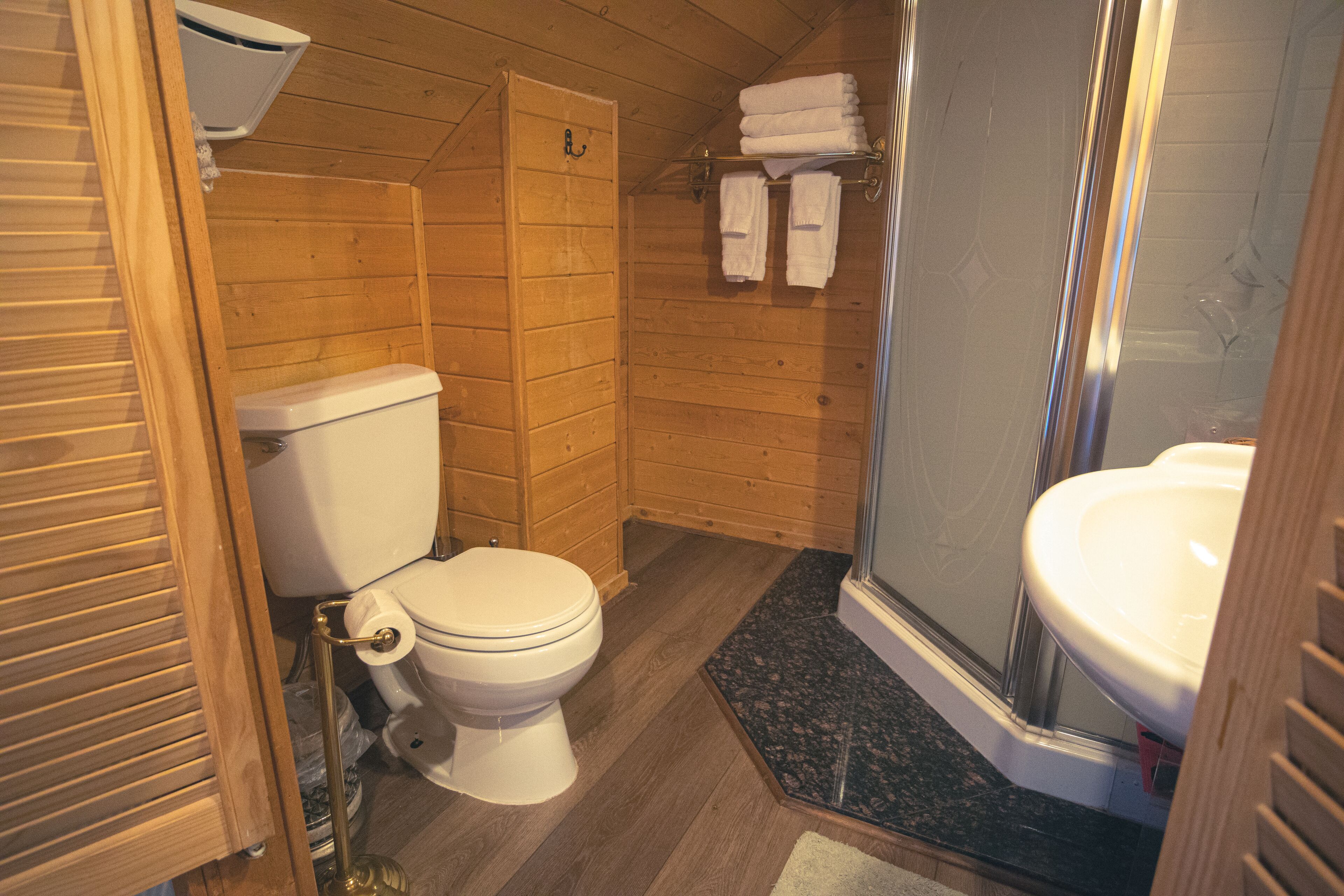 Et badeværelse i en træhytte med toilet, brusebad og vask.