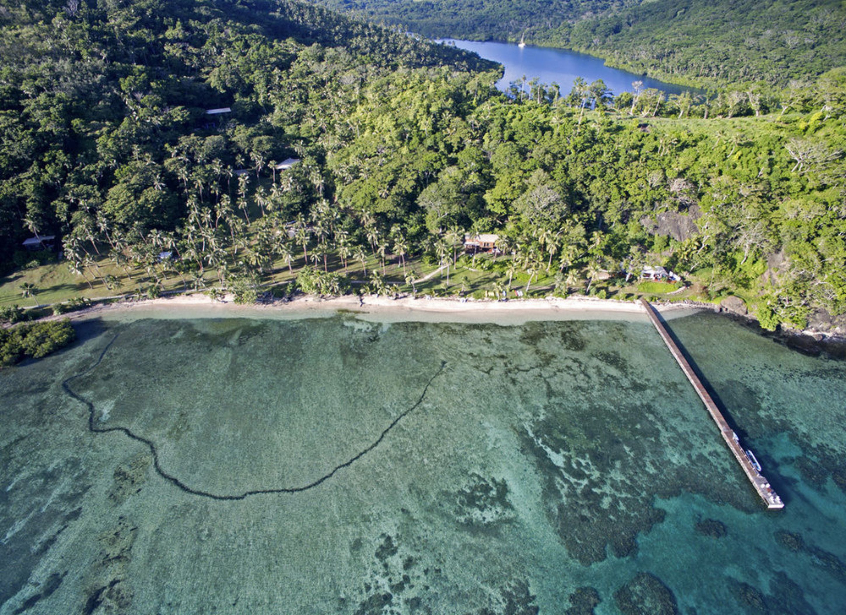 Vue aérienne d’une zone côtière, avec une voie navigable dégagée, un quai et une zone forestière dense.