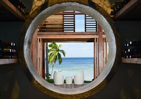 A circular window with a view of a palm tree and the ocean.