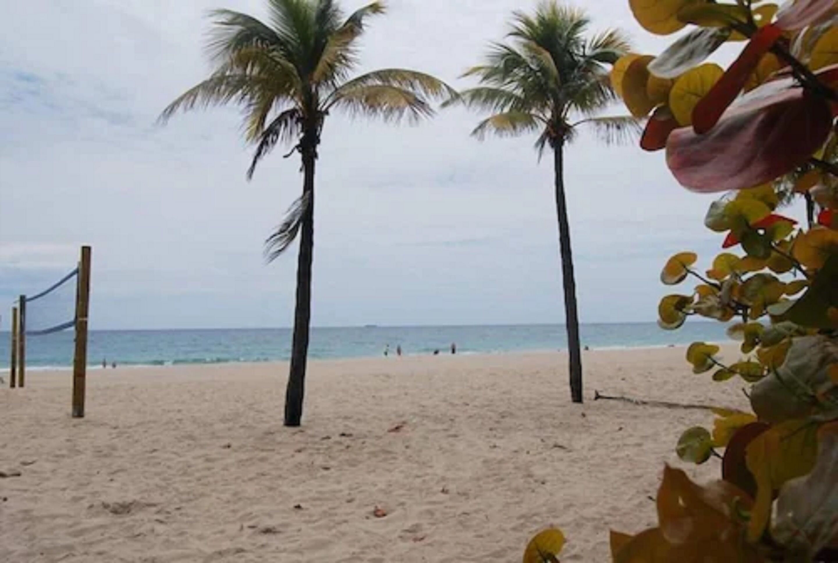 Foto - Best Florida Resort