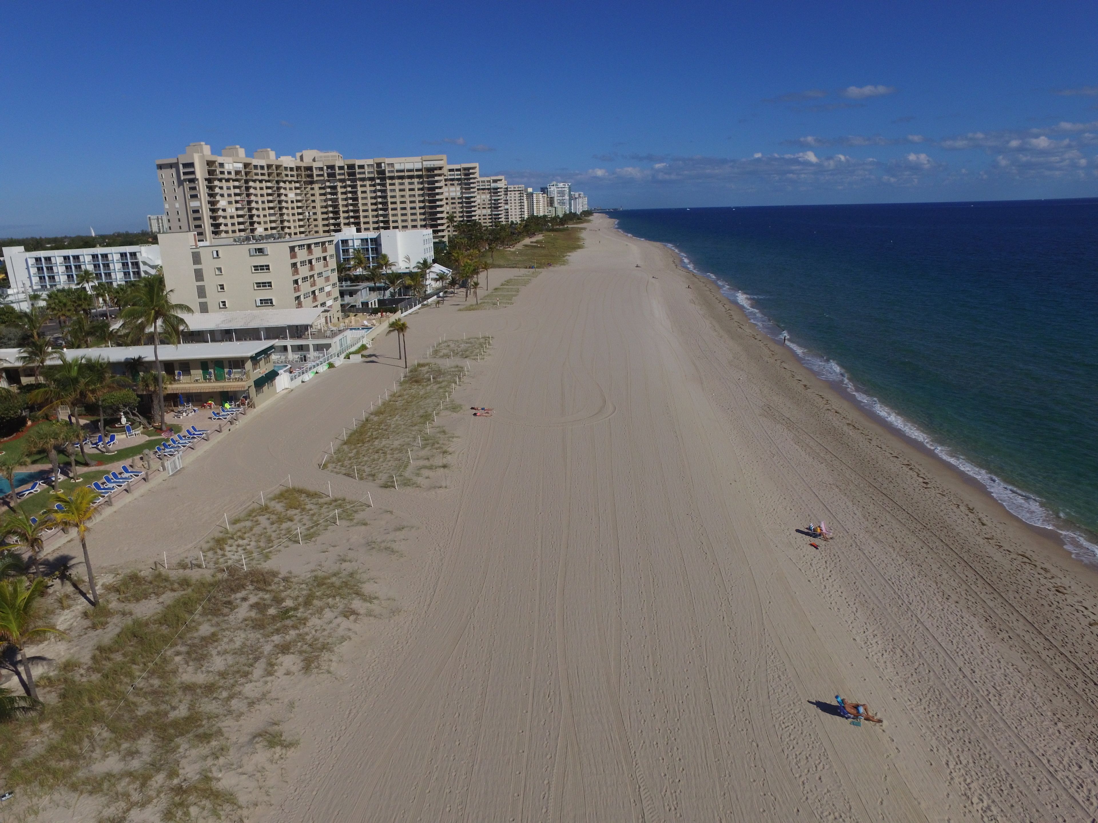 Une plage bordée d’une rangée de palmiers, un hôtel à plusieurs étages et un ciel d’un bleu limpide.
