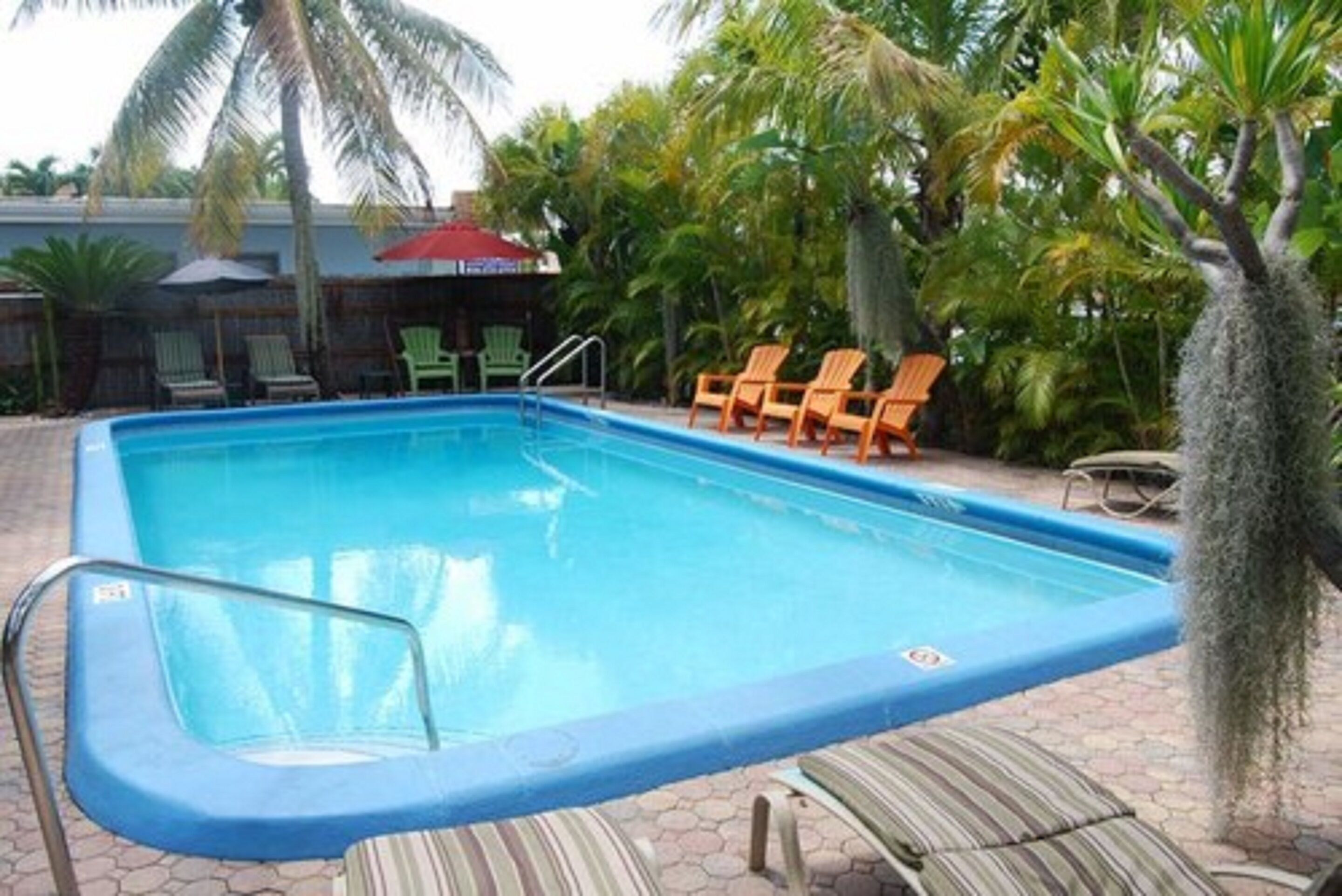Una piscina rectangular con borde azul, rodeada de sillas de descanso y palmeras.