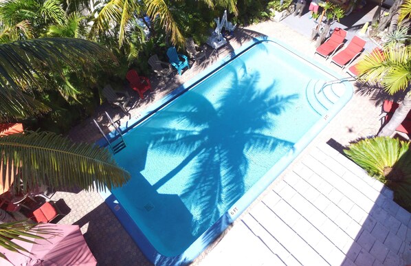 A swimming pool with lounge chairs and palm trees.