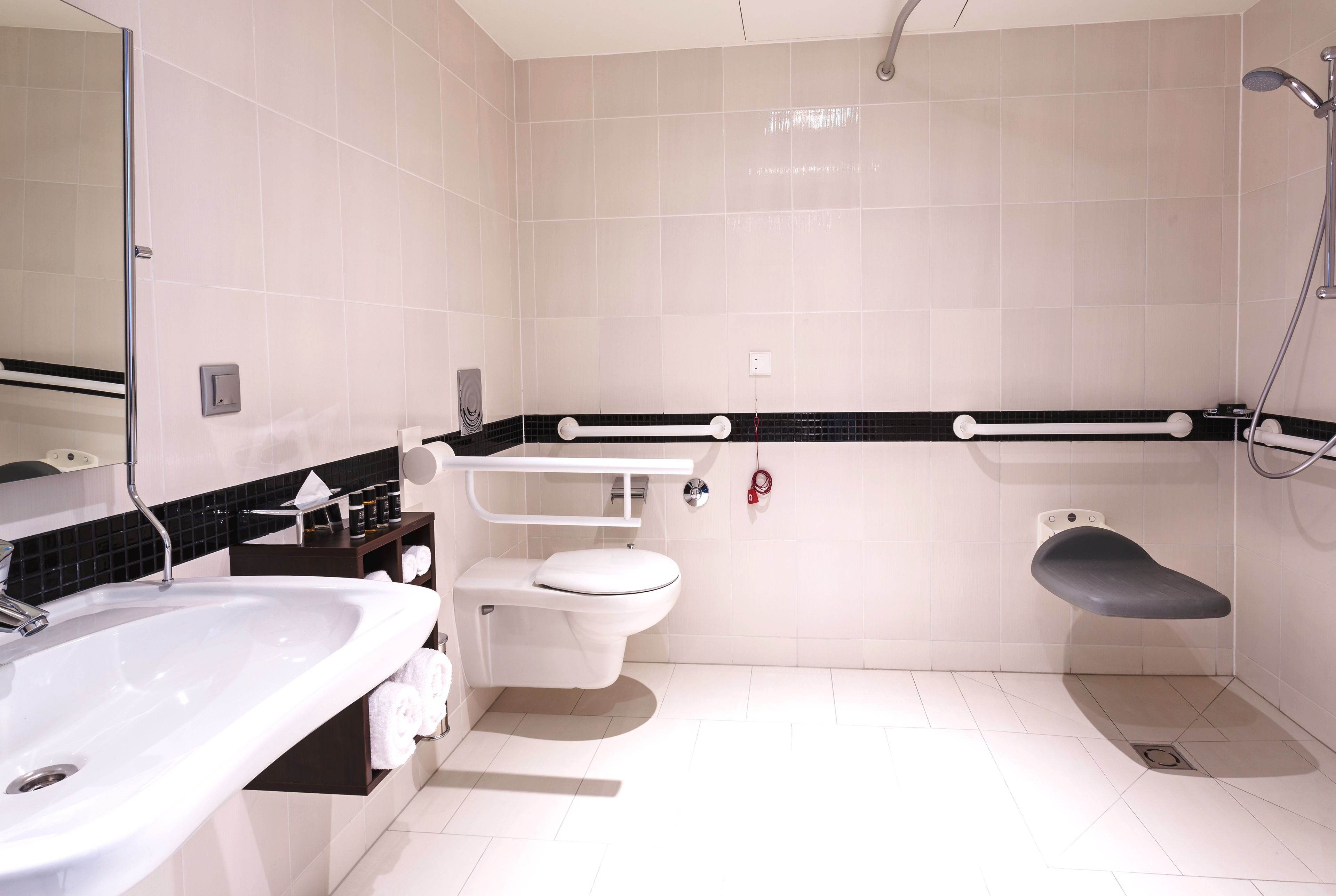 room, 1 queen bed, accessible | bathroom | shower, free toiletries, hair dryer, towels