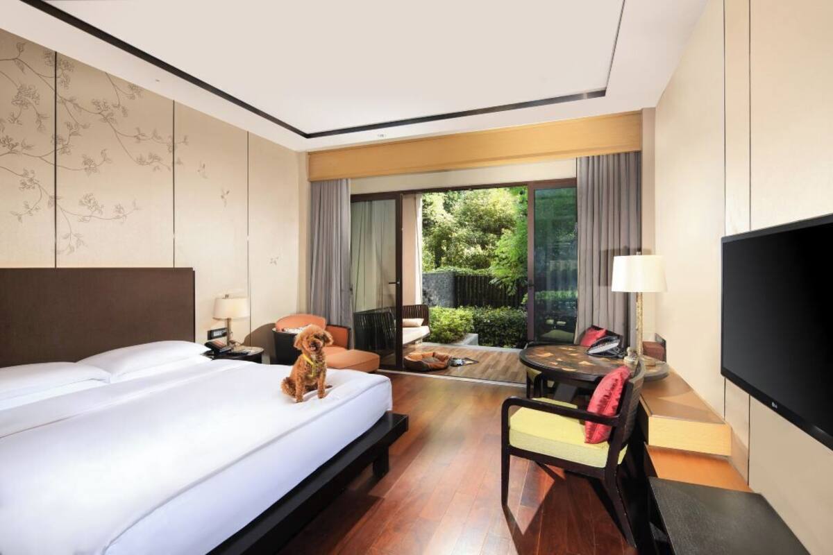 Standard Single Room | Minibar, in-room safe, soundproofing, WiFi (free)