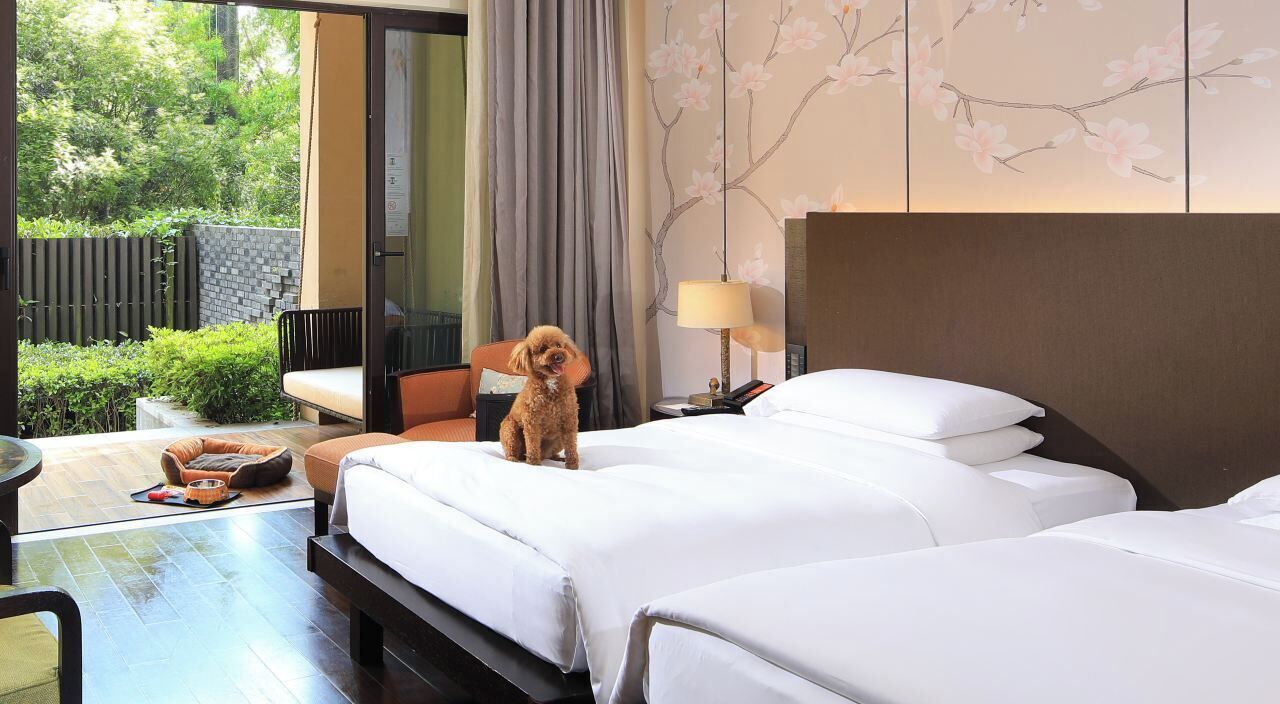 Foto - Hyatt Regency Chongming