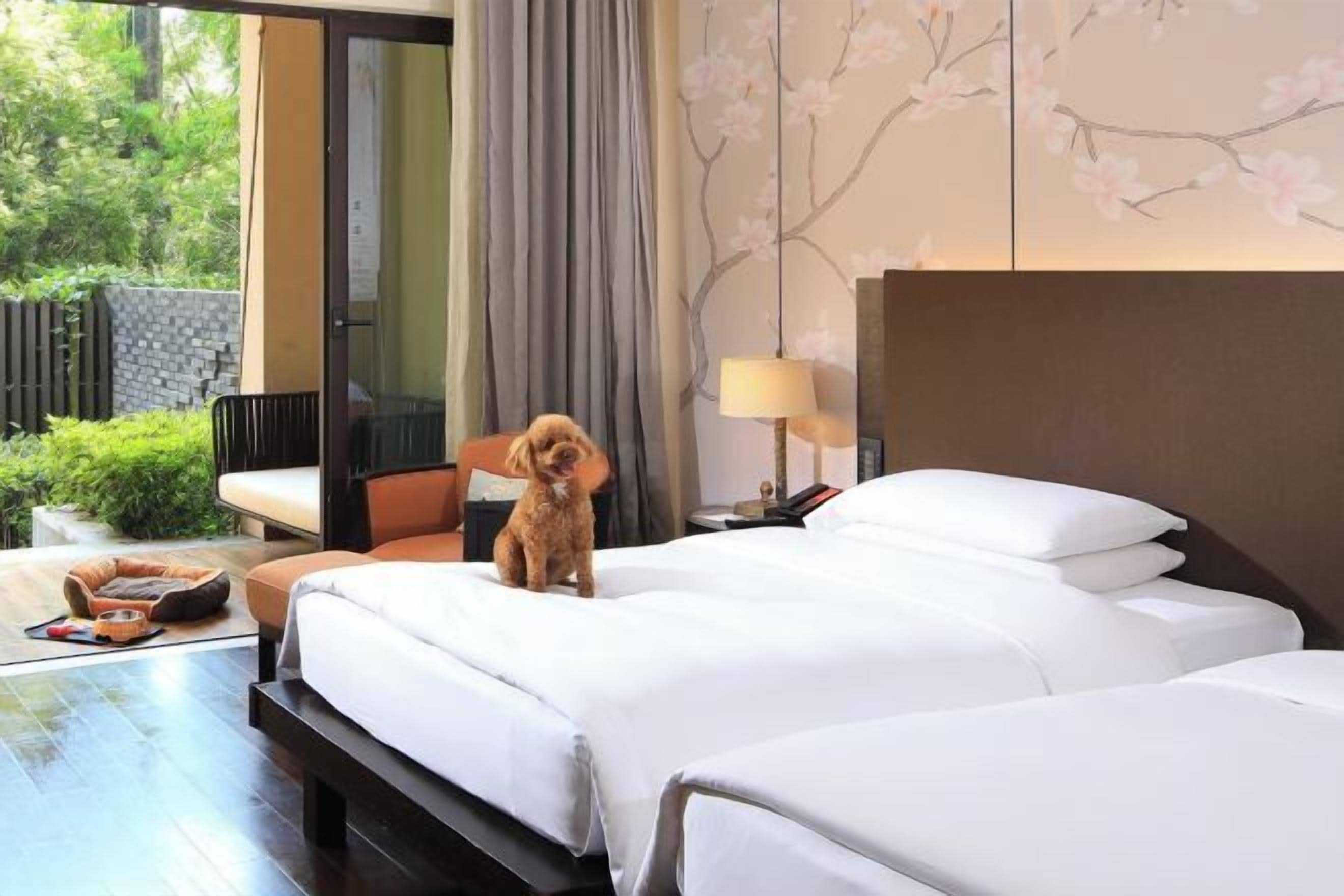 Foto - Hyatt Regency Chongming