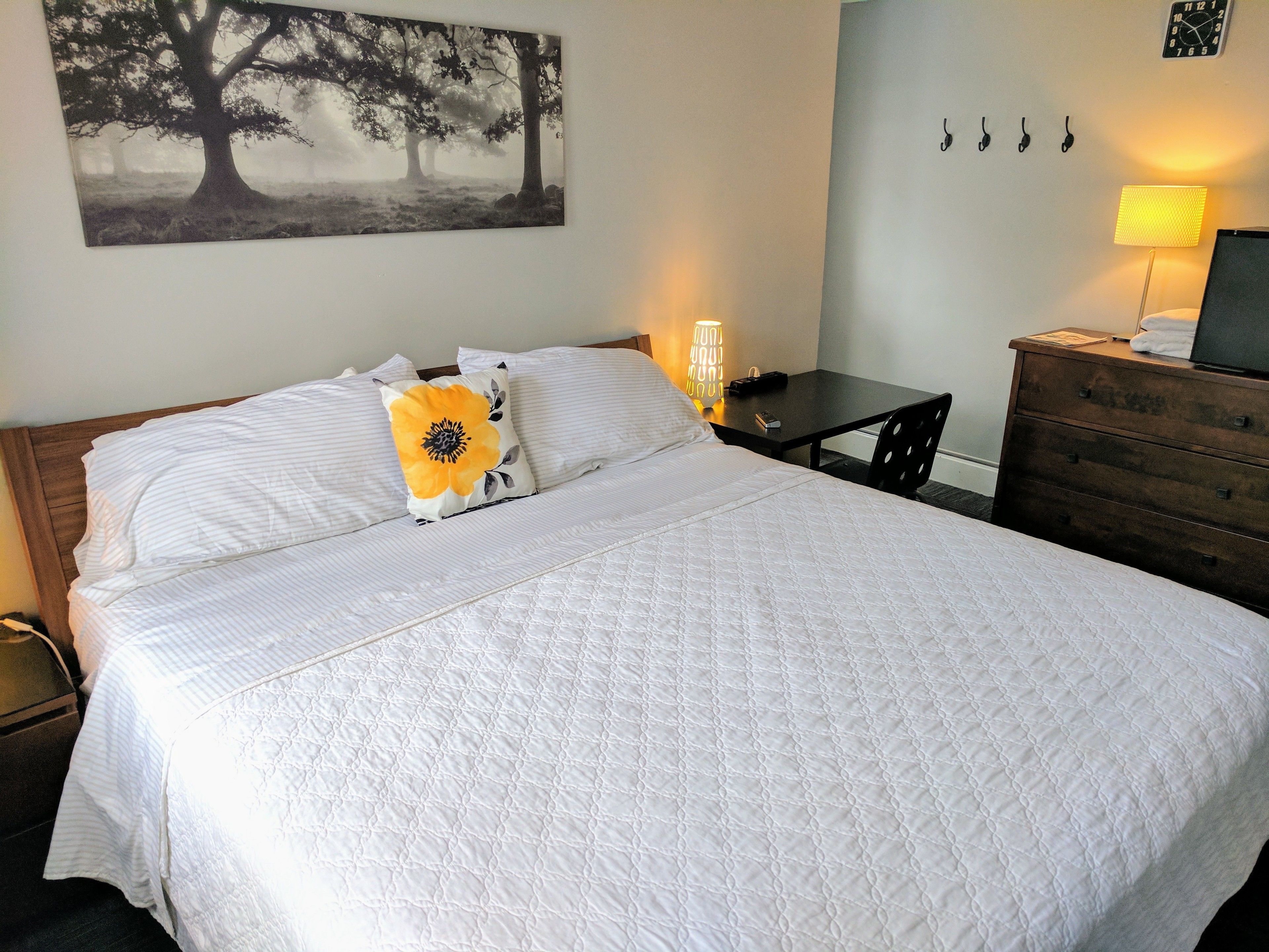 Photo - The Wayfaring Buckeye Hostel