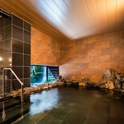 Public bath