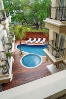 A rooftop swimming pool with lounge chairs and a palm tree.