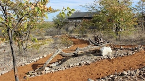 A natural landscape with a dirt path, rocks, and sparse vegetation.