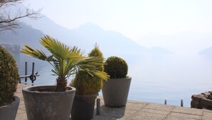 Terras