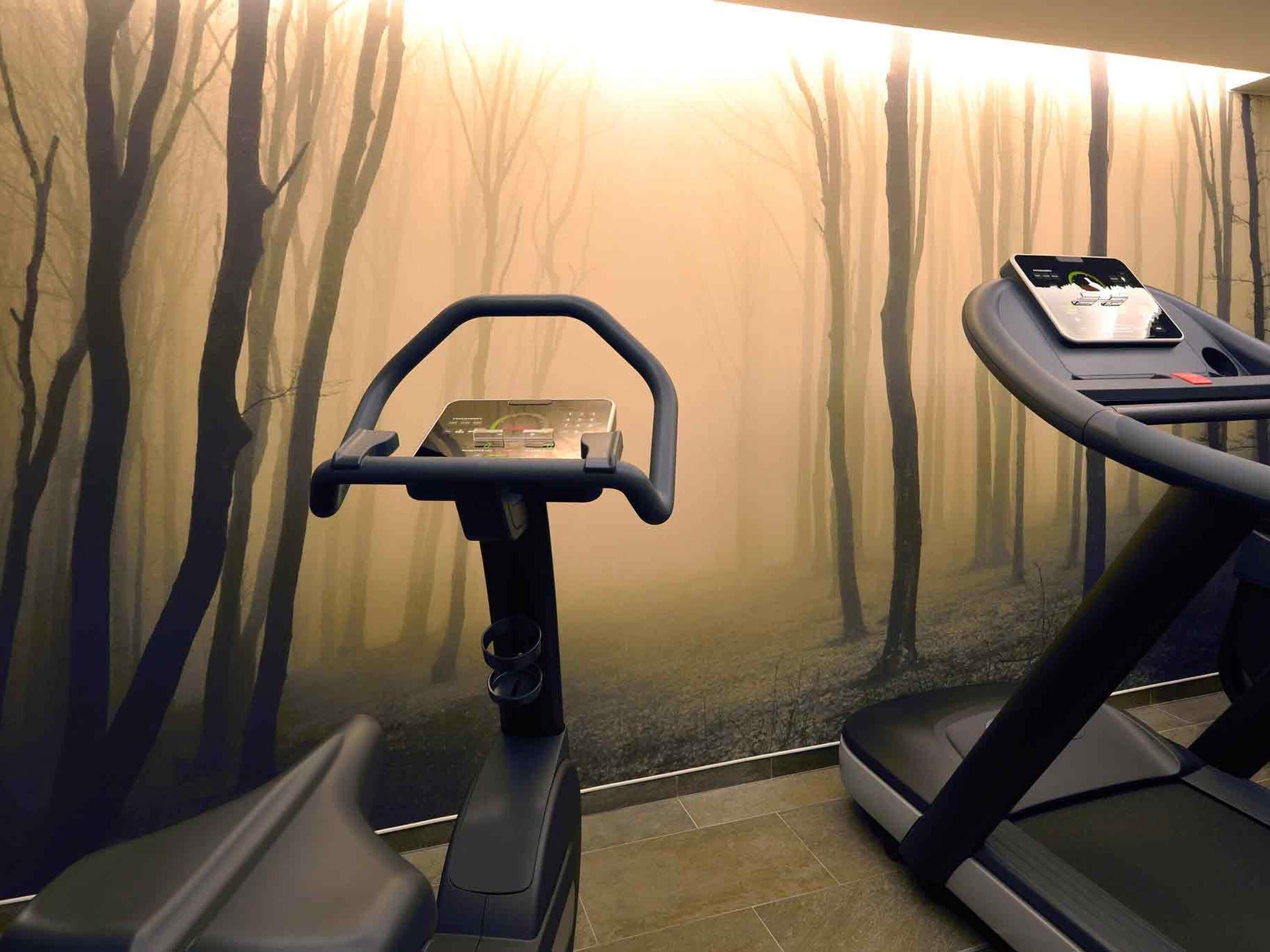 Un tapis roulant e un ellittica in una stanza con un murale a tema foresta.