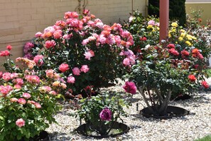 Jardín