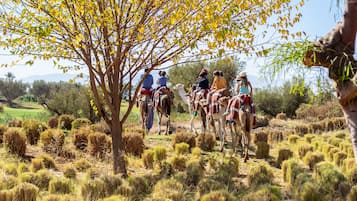 Een groep mensen te paard in een natuurlijke omgeving met schaarse vegetatie en een boom met gele bladeren.