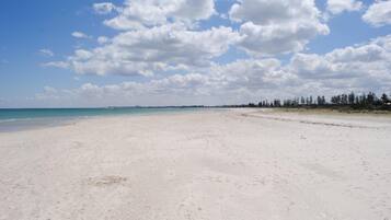 A wide sandy beach with a clear sky and distant trees.
