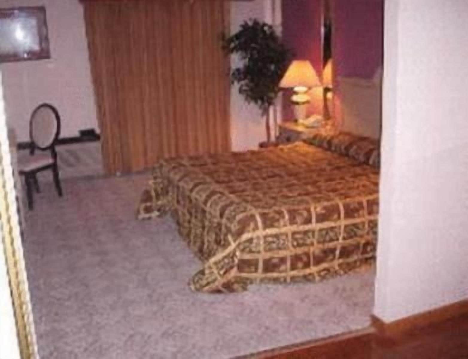 Quarto de hotel com cama, cadeira, abajur e planta em vaso.