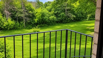 Suite, 1 King Bed, Jetted Tub | Terrace/patio