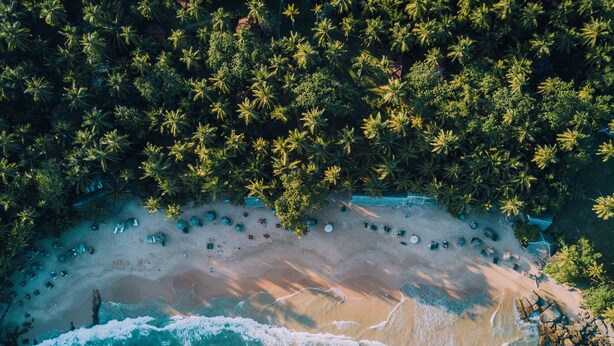 Unclassified image, 1 of 63, button - Palm Paradise Cabanas & Villas Beach Resort Tangalle (Tangalle)