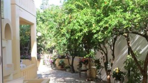 A narrow courtyard with a yellow building, potted plants, and a tree providing shade. - La Luna (Hersonissos)