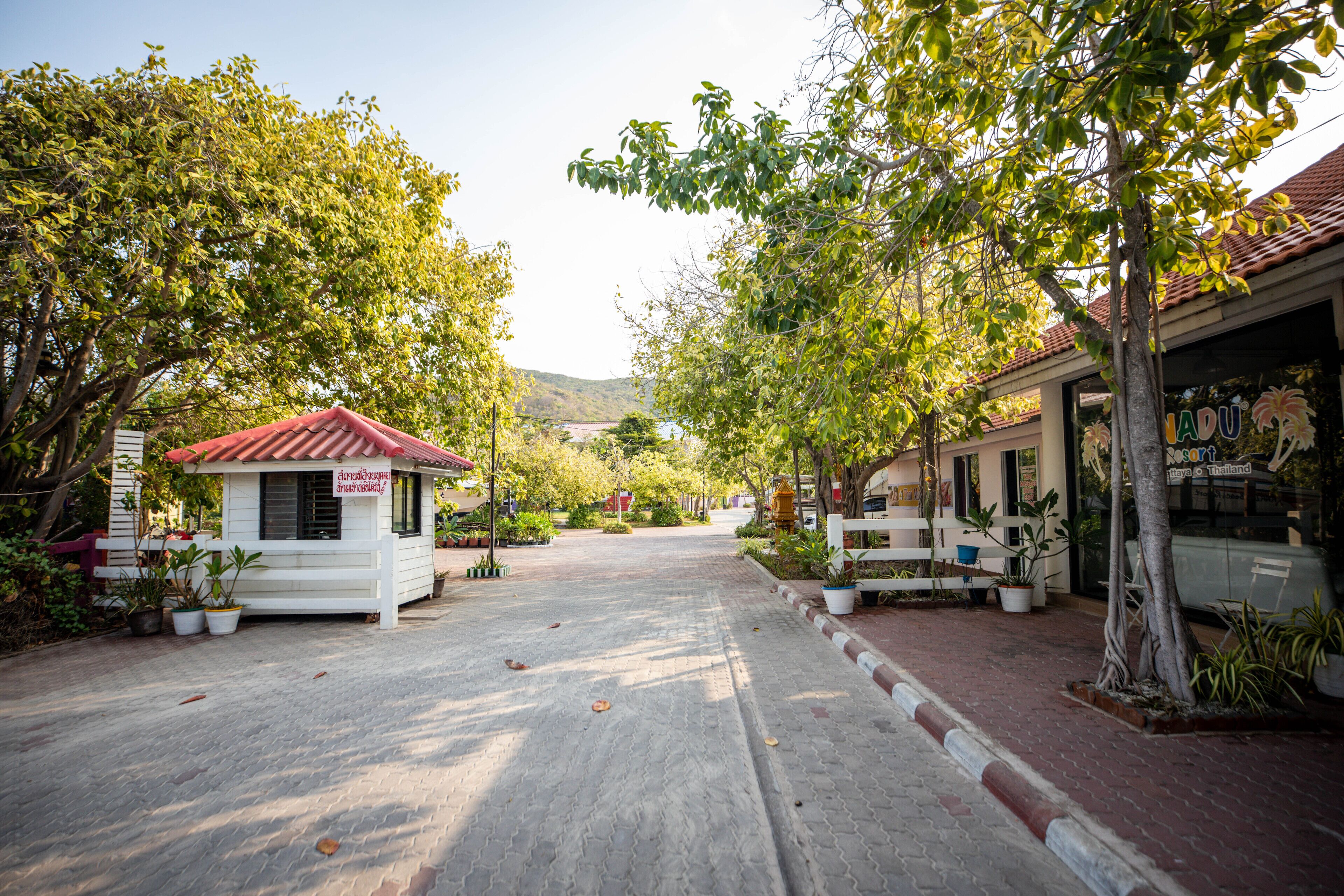 A paved street with a small white building with a red roof, surrounded by trees and potted plants.
