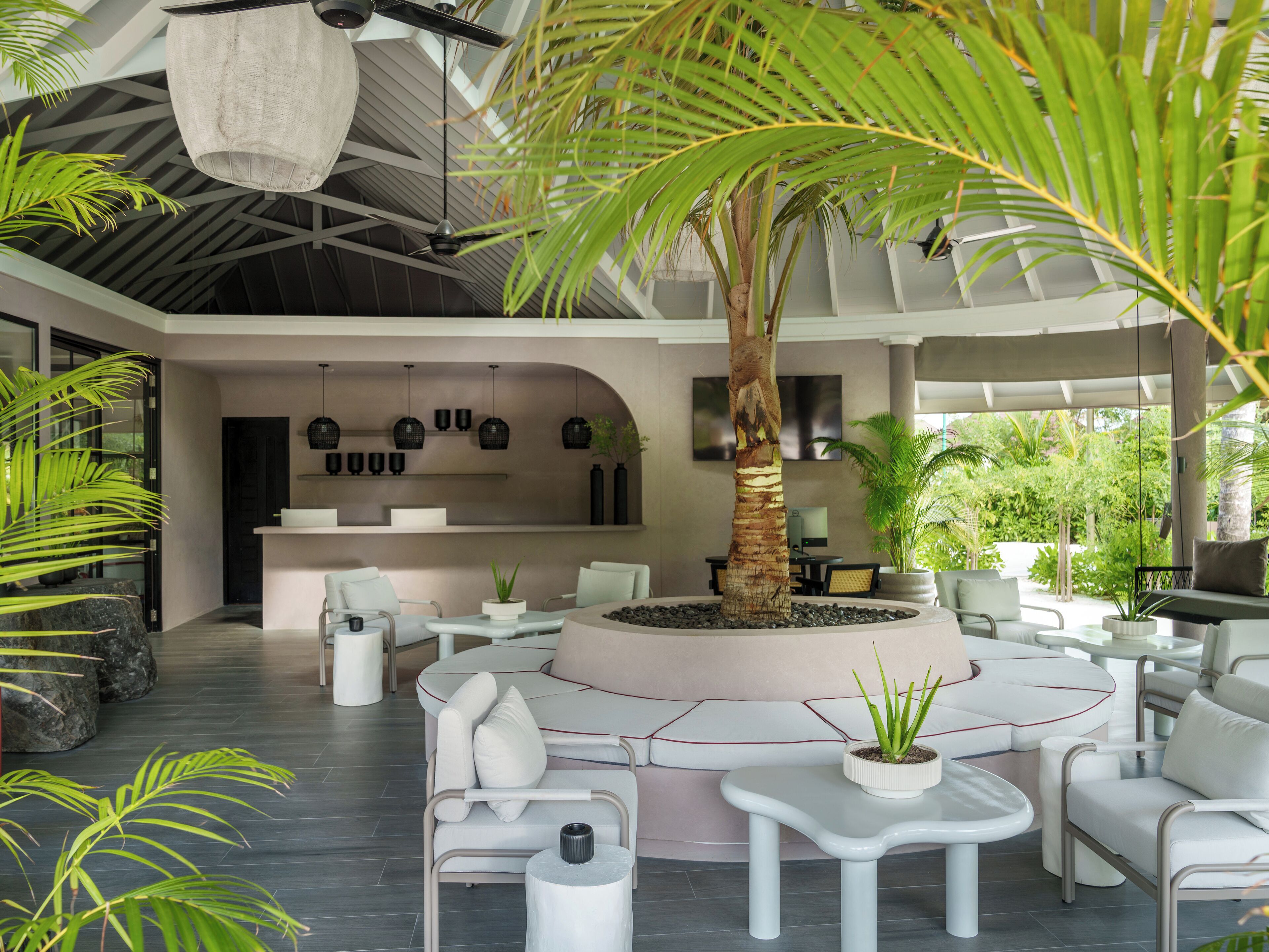 Un espace intérieur moderne doté d’un coin salon central, d’un grand arbre et d’un espace cuisine en arrière-plan.