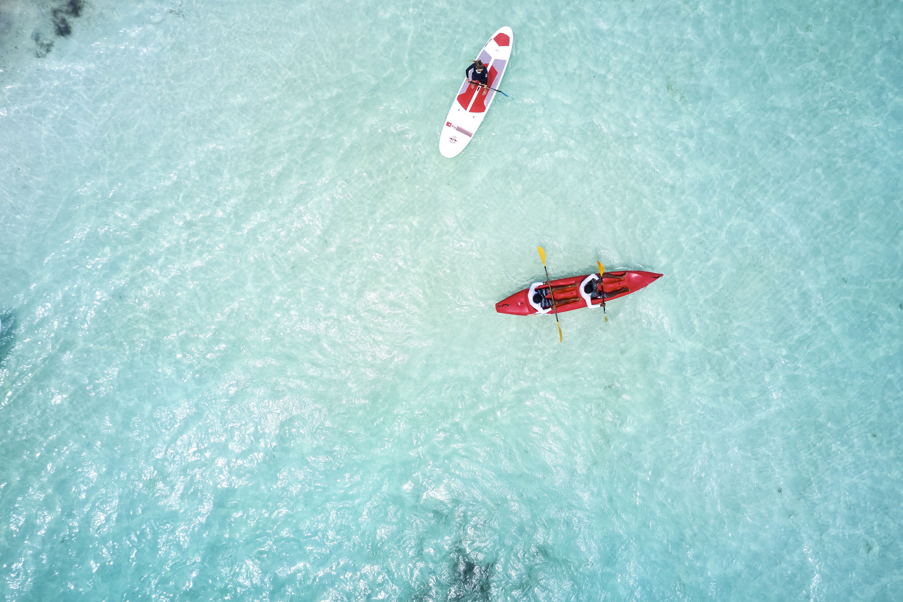 Dos tablas de remo sobre aguas turquesas.