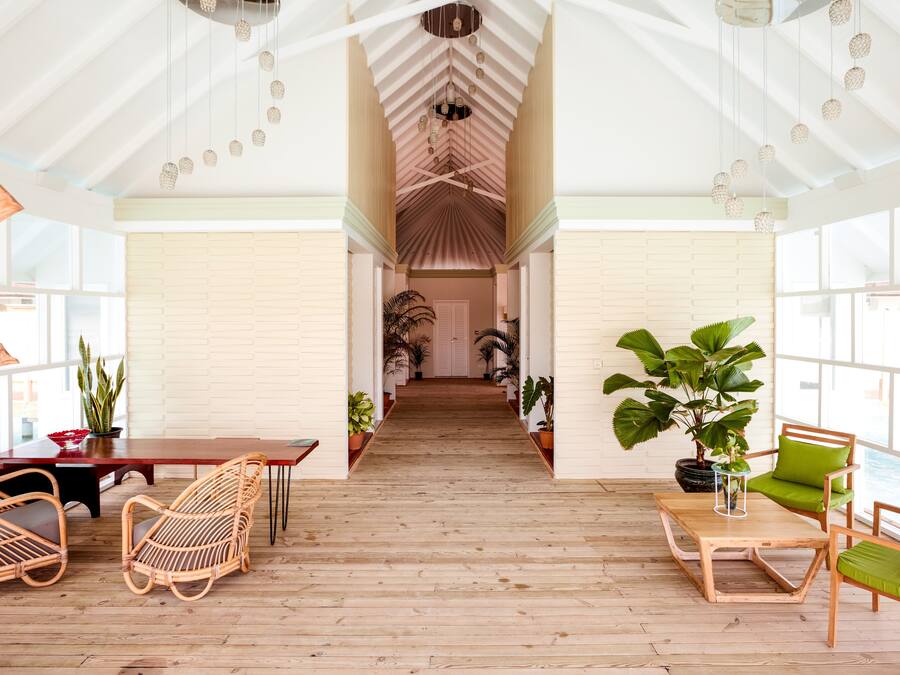 Una habitación amplia con suelo de madera, una mesa central y sillas. Hay plantas en macetas a lo largo de las paredes y un ventanal que proporciona luz natural.