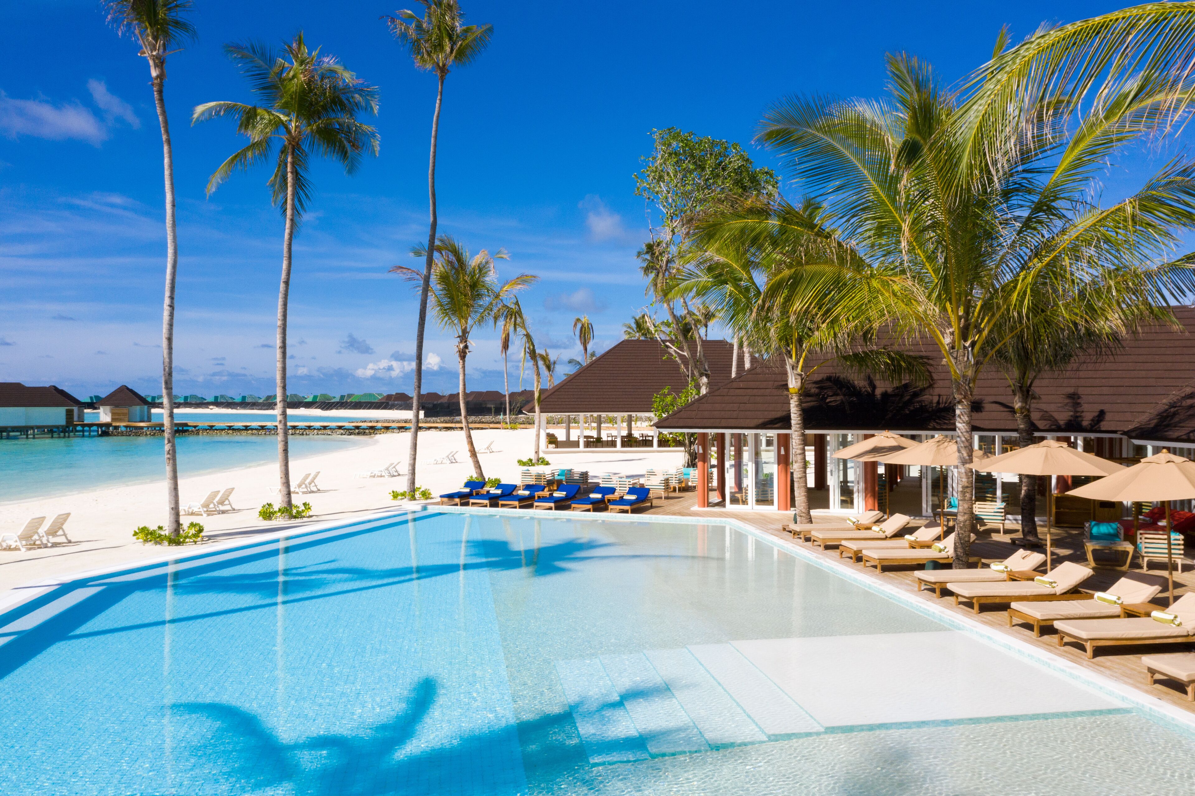 3 piscinas al aire libre, tumbonas