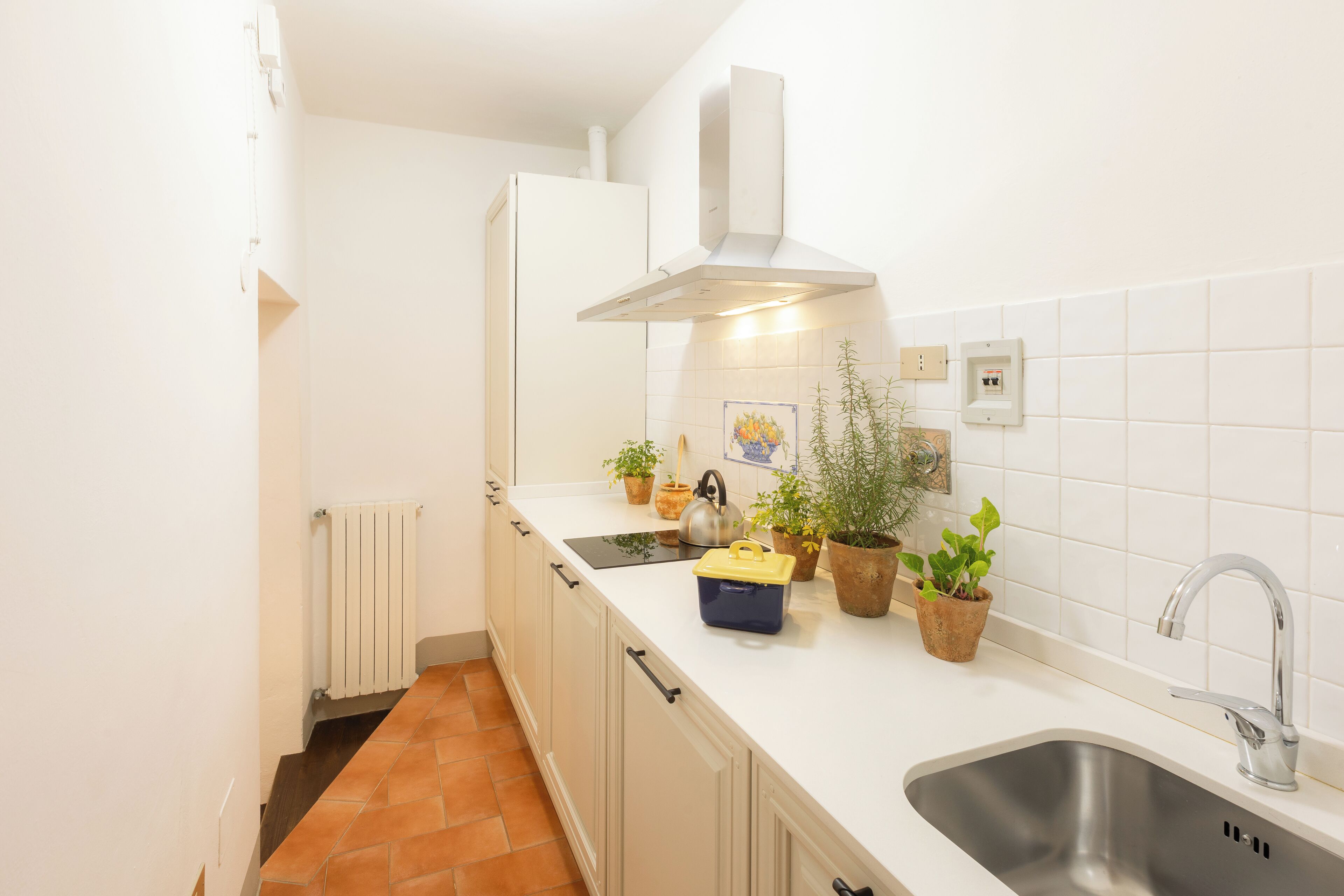 A kitchen with white cabinets, a stainless steel sink, a range hood, and potted plants on the counter.