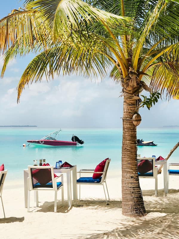 2 restaurants, breakfast, lunch, dinner served; international cuisine