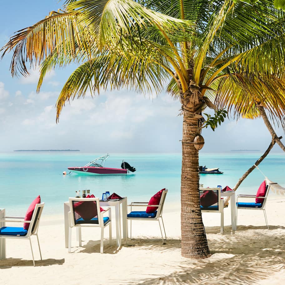 2 间餐厅,供应早餐、午餐和晚餐,国际美食