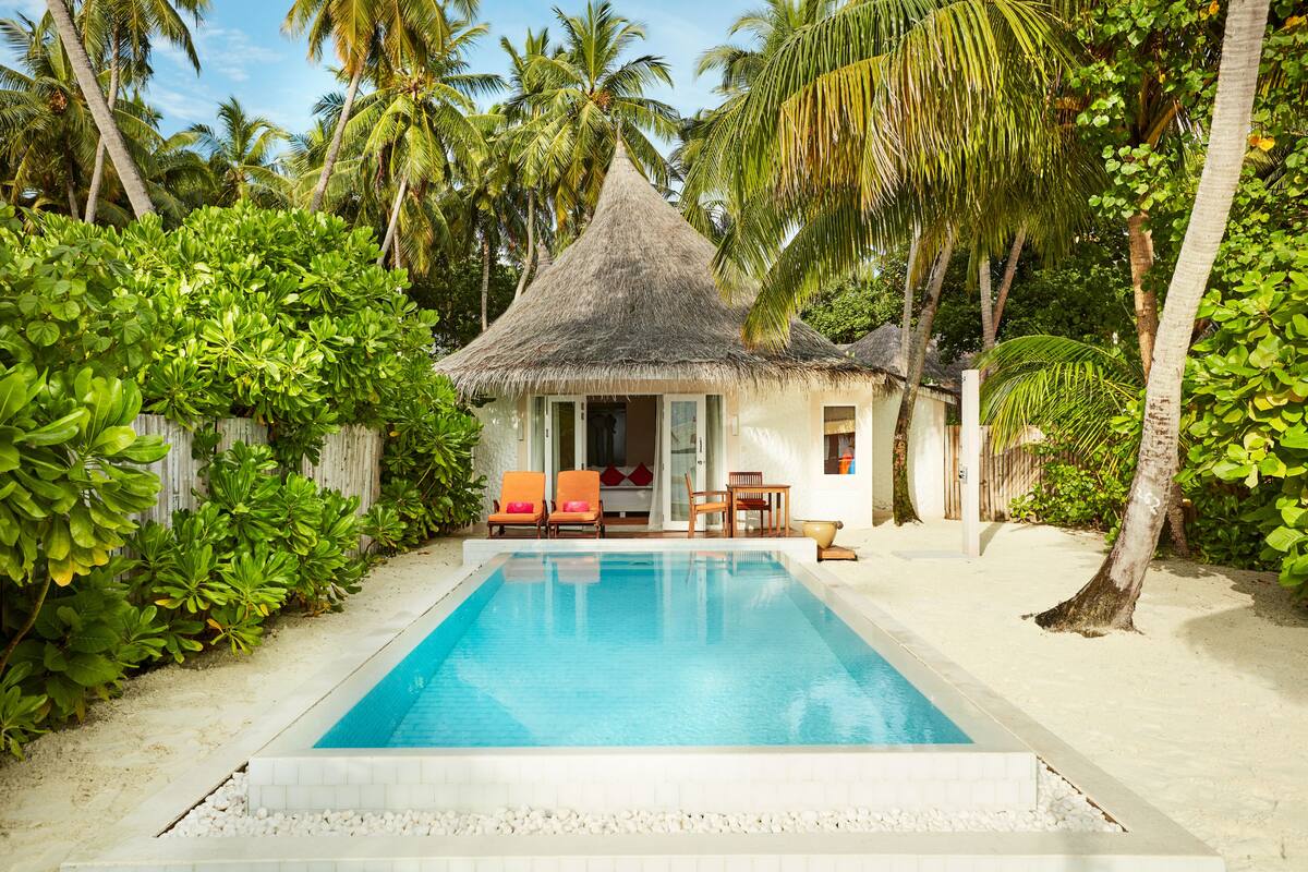 Ein Pool mit einer strohgedeckten Struktur, umgeben von üppiger Vegetation und Palmen.