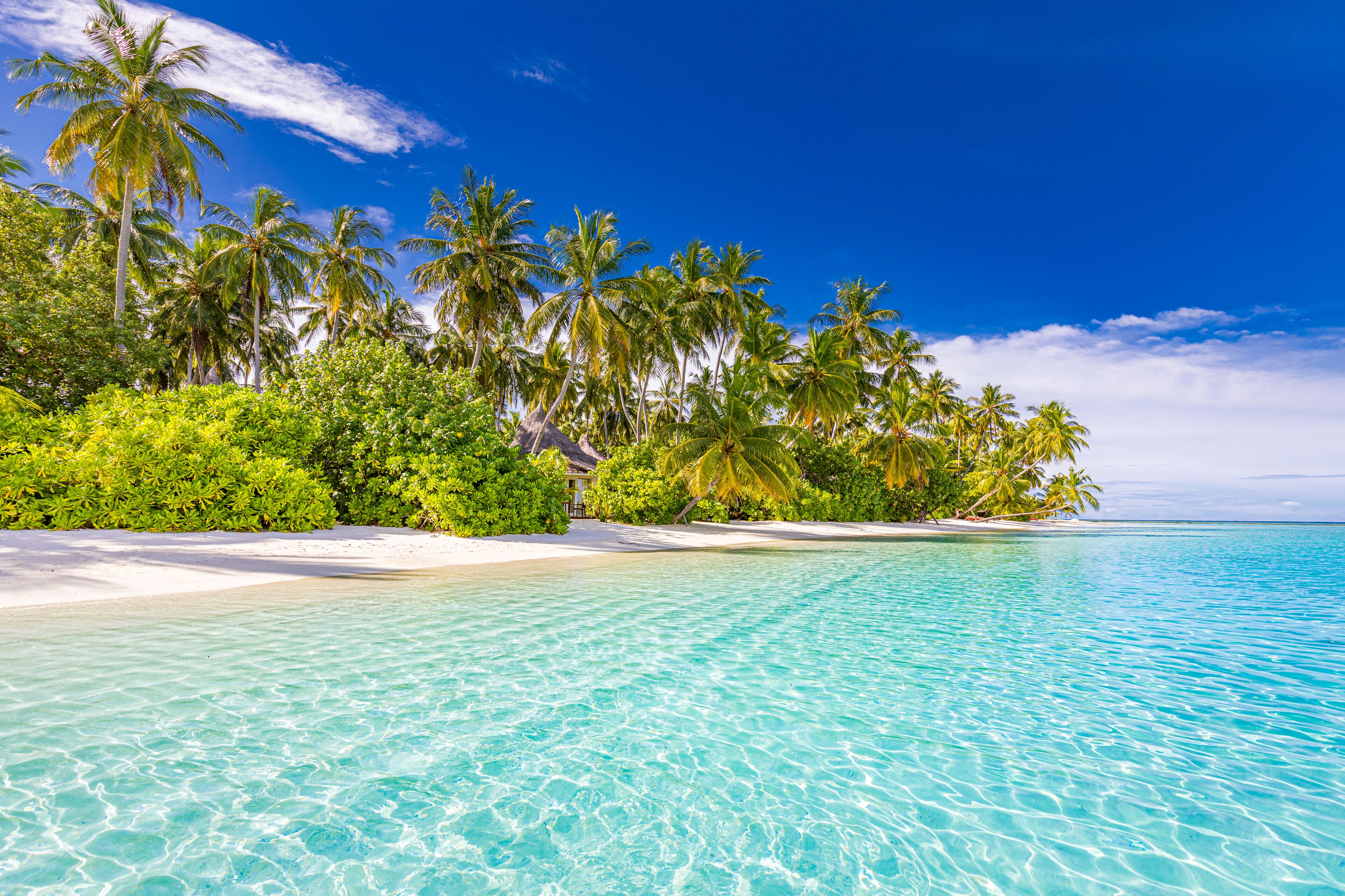 Foto - Sun Siyam Vilu Reef - All Inclusive