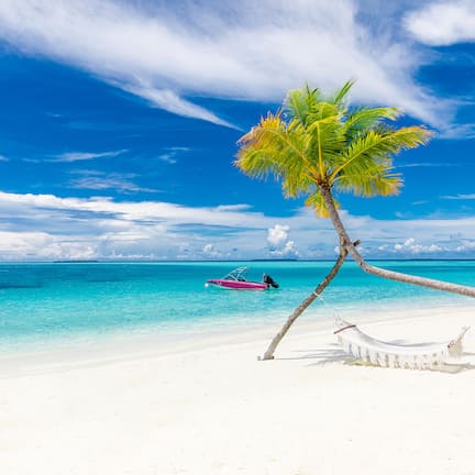 在海滩、水肺潜水、浮潜、滑水