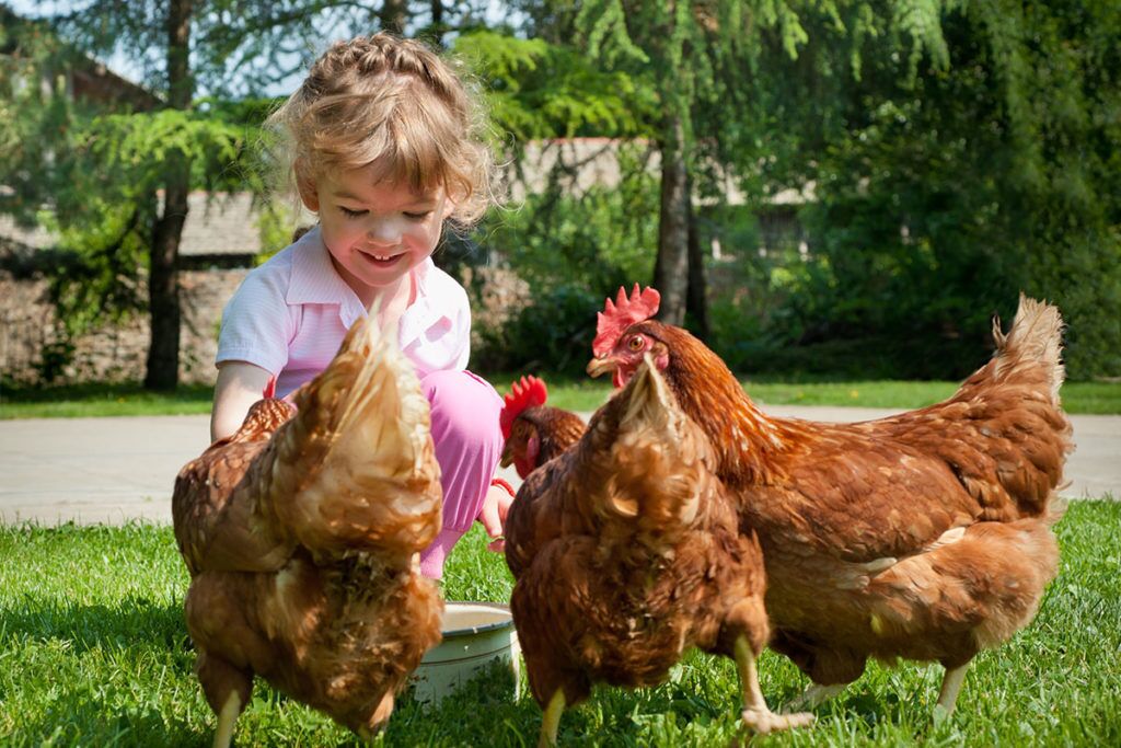 children’s activities