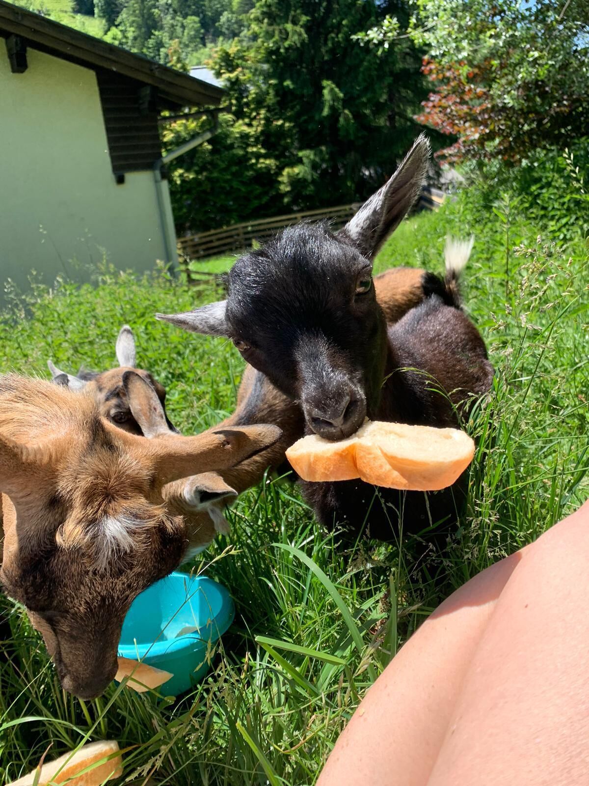 children’s activities