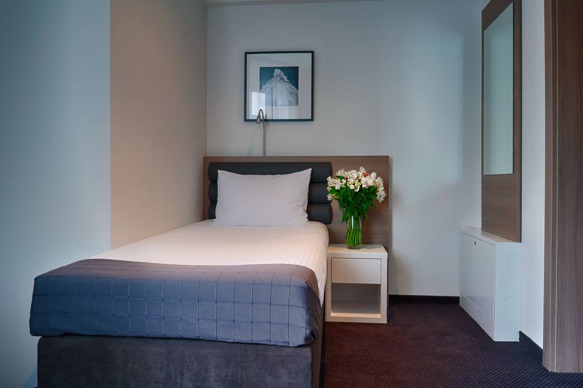Single Room | Premium bedding, in-room safe, desk, laptop workspace