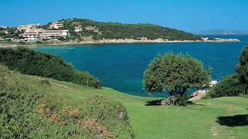 A coastal landscape with a clear view of the sea, a grassy area with a tree, and buildings on a hill in the background.