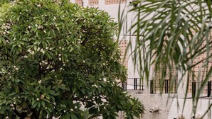 A pathway leading to a building with a brick facade and multiple windows. - Hotel Tropicana Pattaya (Pattaya)