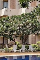 Zona junto a la piscina con sillones de descanso, un árbol con flores blancas y un edificio con pared de ladrillo y ventanas.