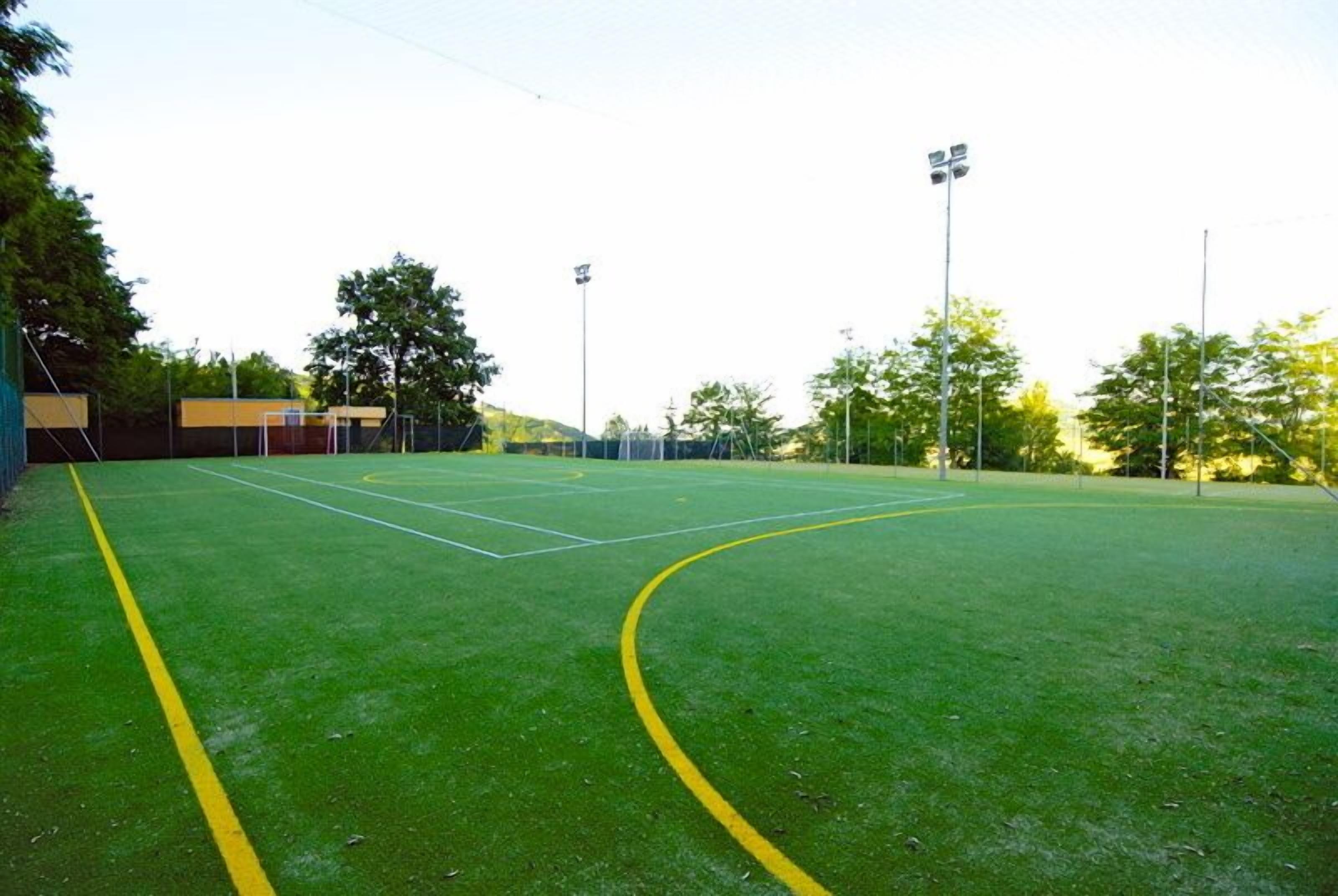 Un campo sportivo con pali di una porta, illuminazione artificiale e un'area recintata.