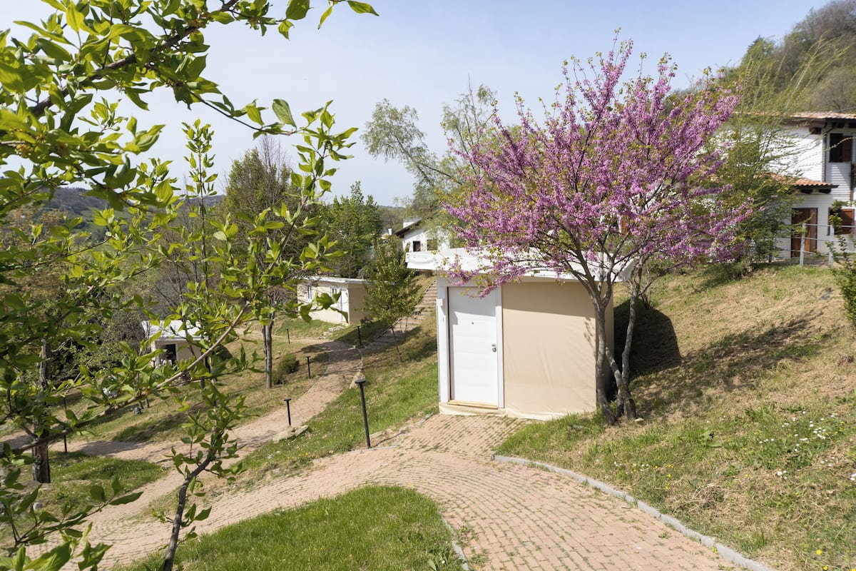 A paved pathway leading to a building with a door, surrounded by greenery and a flowering tree.