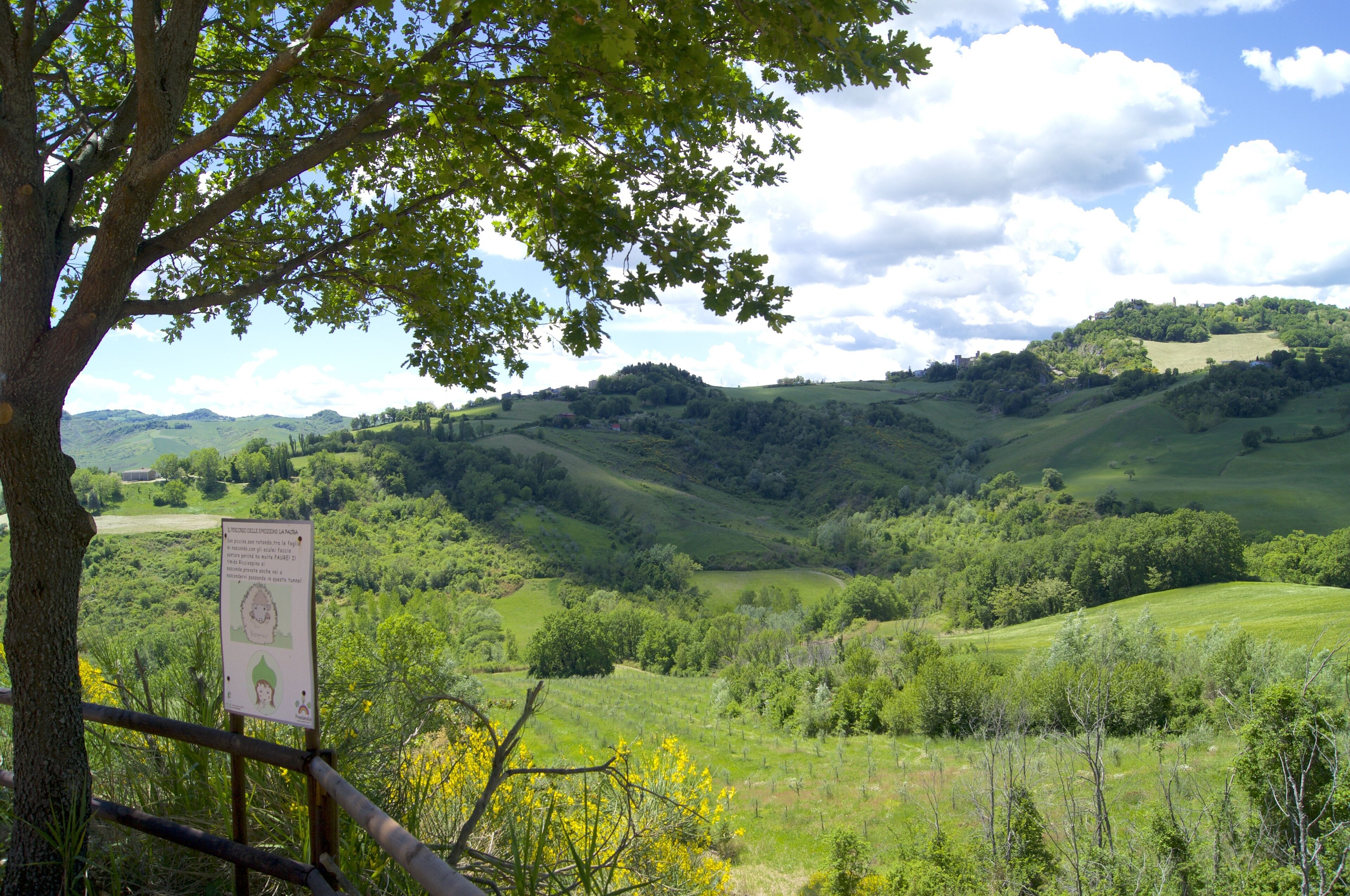 A scenic view of rolling hills and a tree with a sign in the foreground.
