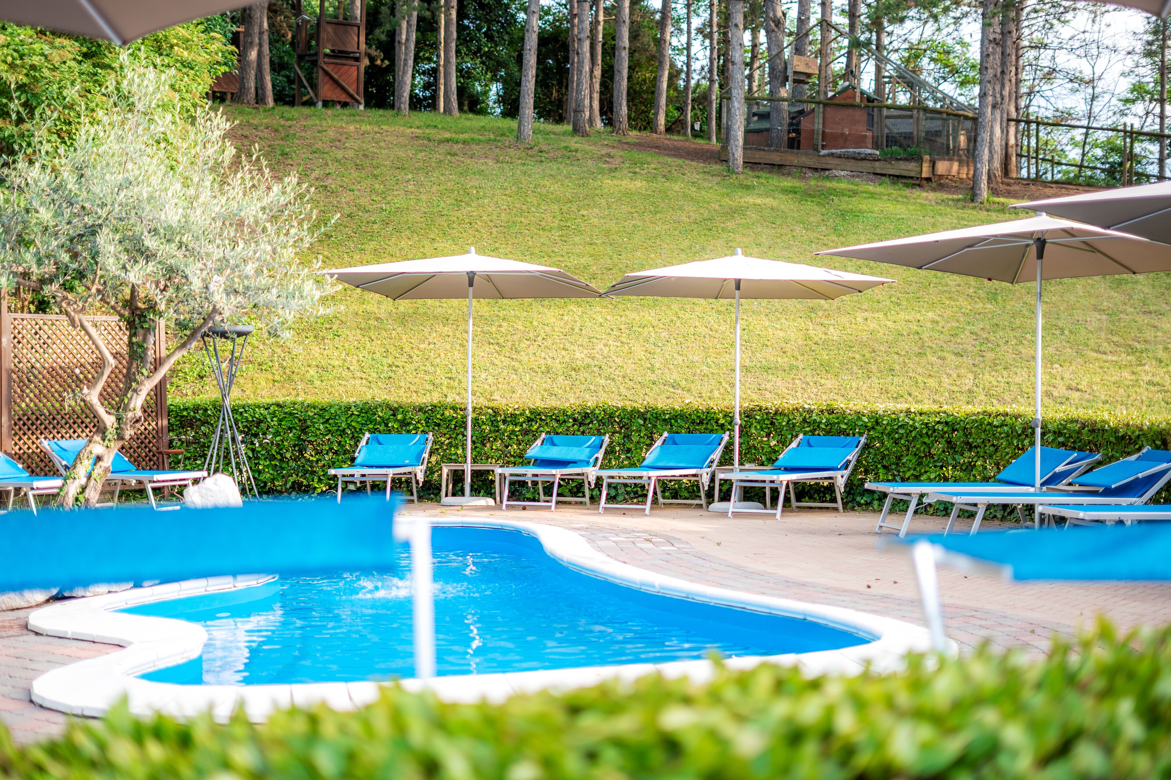 A pool area with lounge chairs and umbrellas, surrounded by a landscaped garden and a wooden deck.