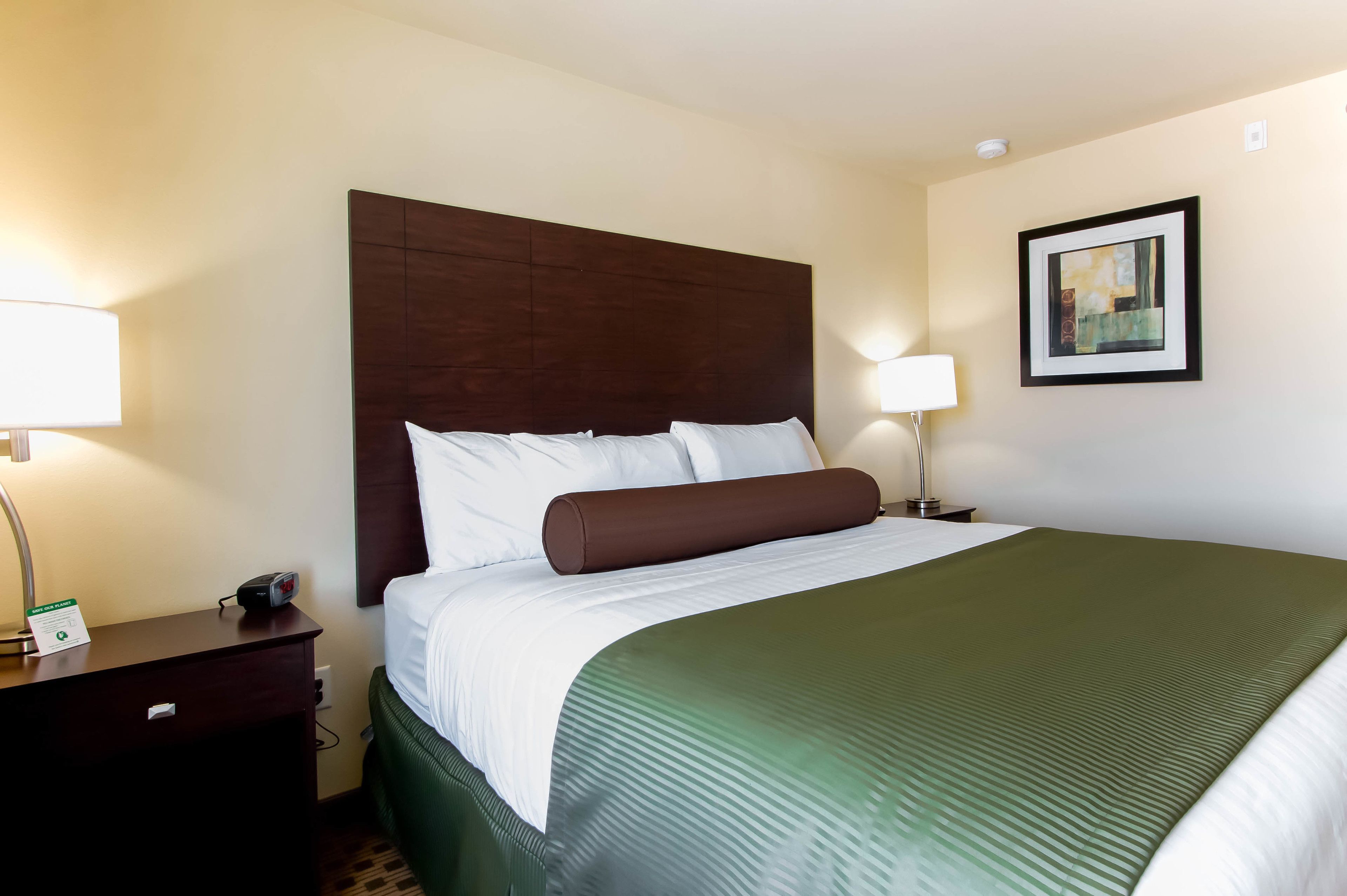 room, 1 king bed, non smoking | premium bedding, pillow-top beds, in-room safe, desk