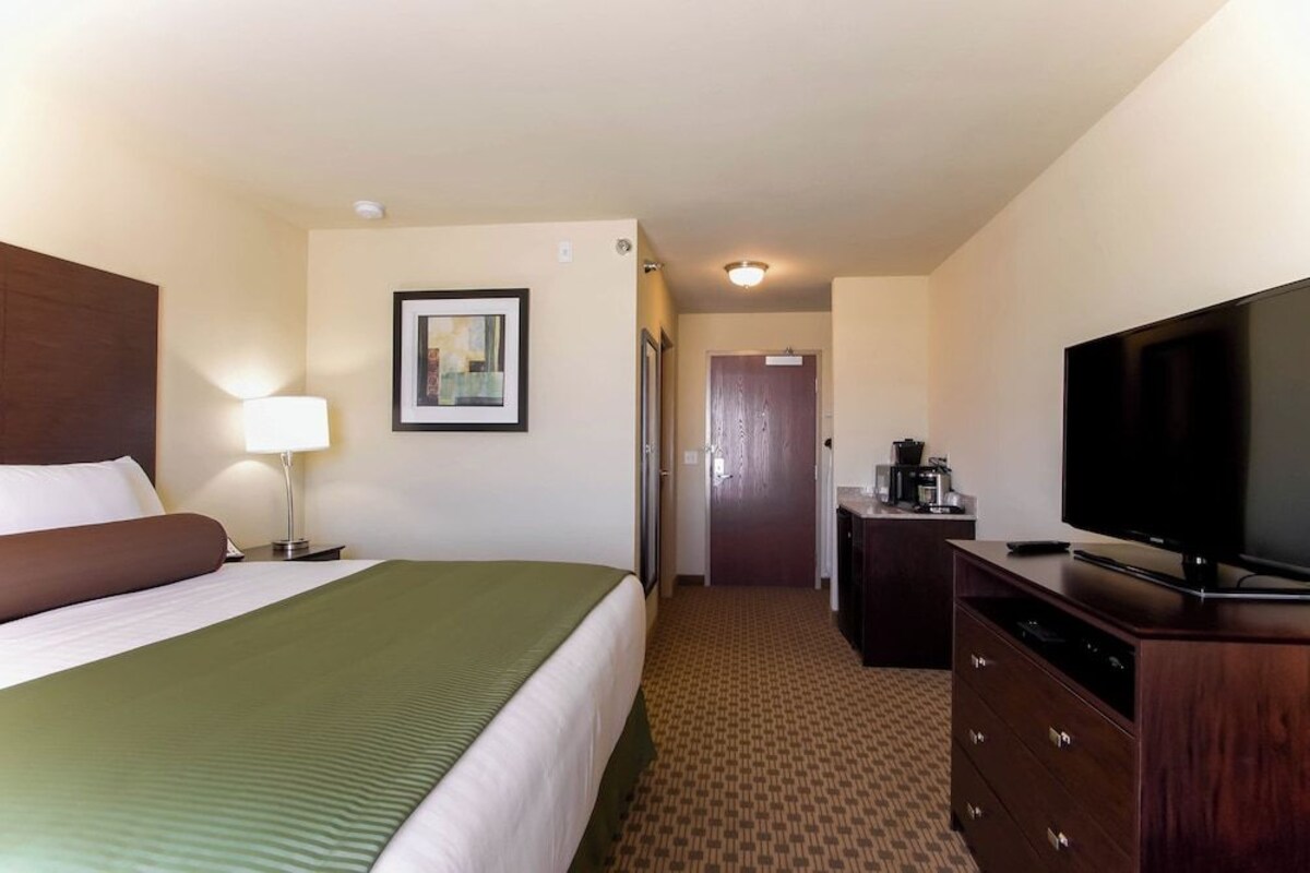 Habitación de hotel con cama, televisión, escritorio con lámpara y un cuadro en la pared.