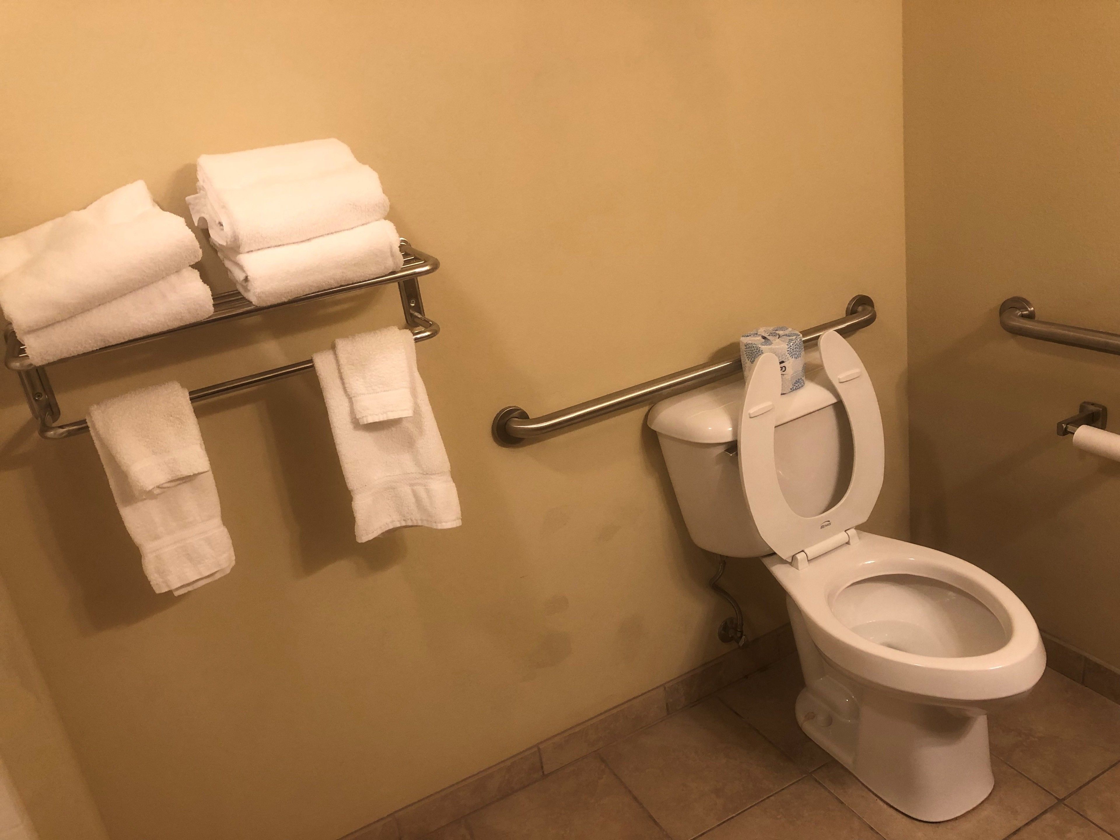 Une salle de bain équipée de toilettes, d’un porte-serviettes avec des serviettes pliées et d’un support à papier toilette.