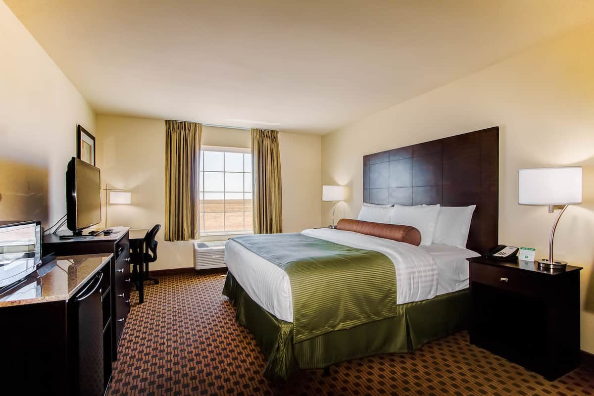 Room, 1 King Bed, Accessible Roll in Shower, Non Smoking | Premium bedding, pillow-top beds, in-room safe, desk